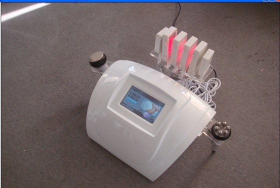 Laser ligero llevado de Lipo de la lipolisis que adelgaza la máquina para el cuidado gordo de la pérdida/de piel